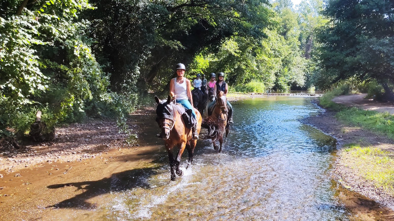 Italien, Toscana - Maremma stjärnritt