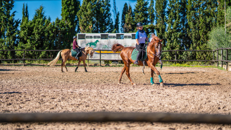 Spanien, Mallorca - Nybörjarprogram