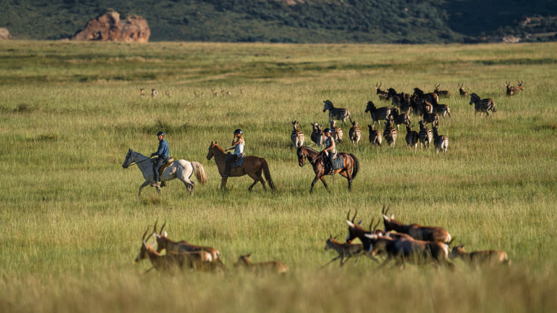 Sydafrika, Free State provinsen - Privat safarilodge